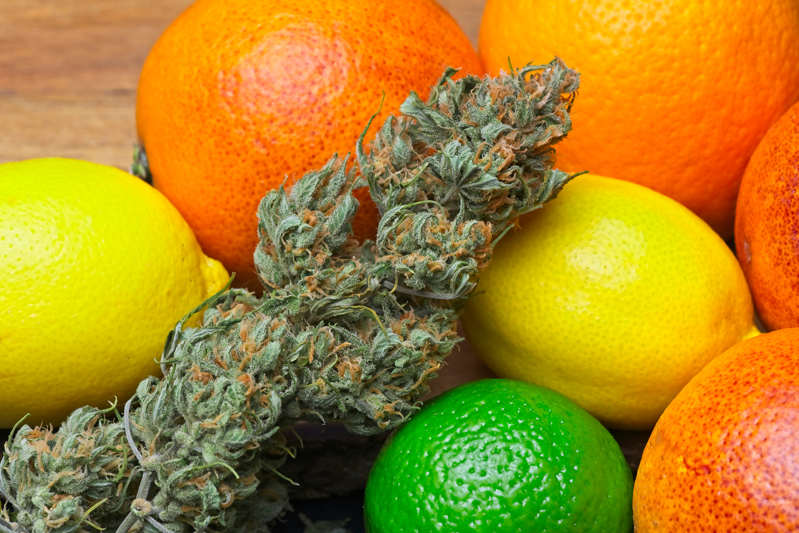 terpenes with fruit background